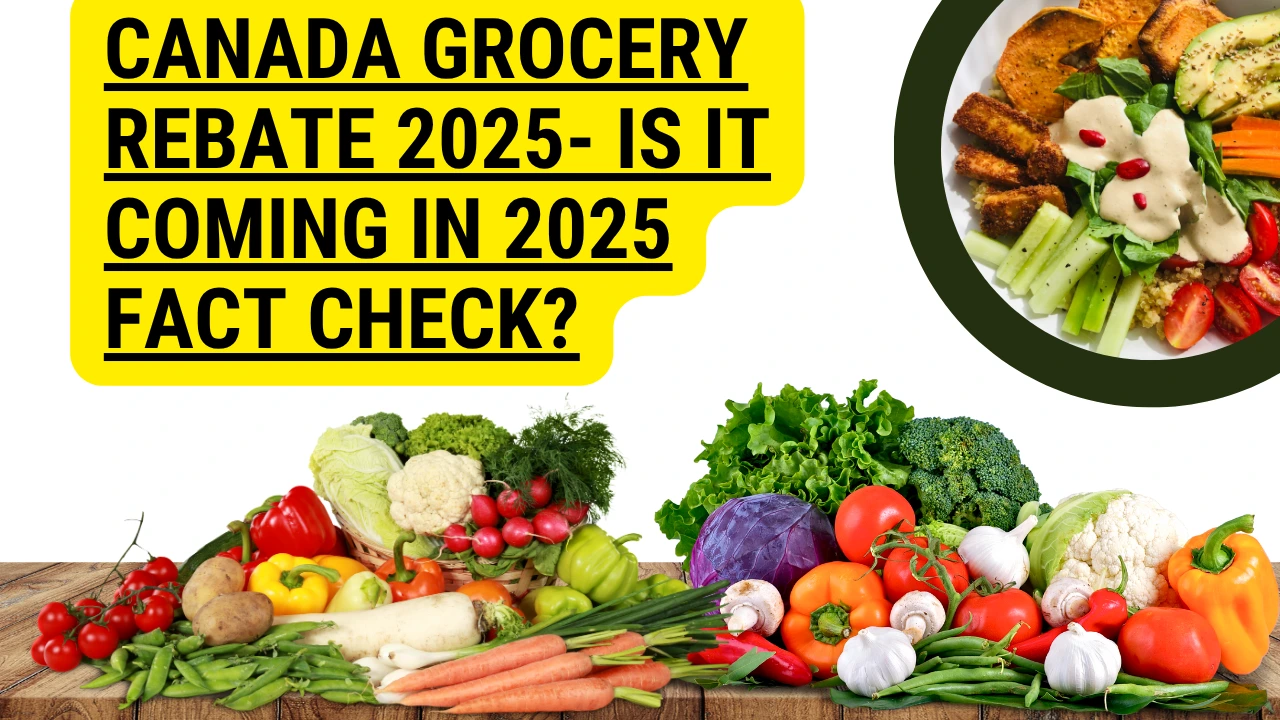 Canada Grocery Rebate 2025- Is it coming in 2025 Fact Check?