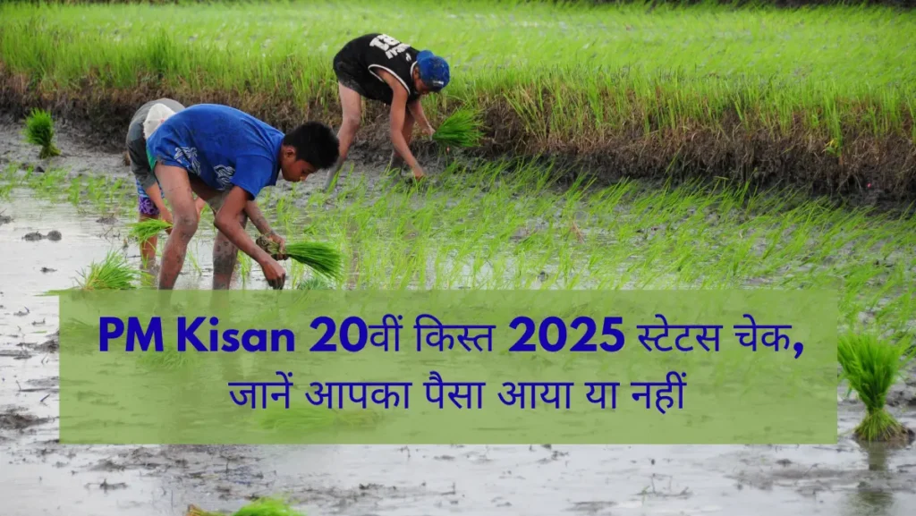 PM Kisan 20वीं किस्त 2025 ऐसे करें स्टेटस चेक, जानें पैसा आया या नहीं